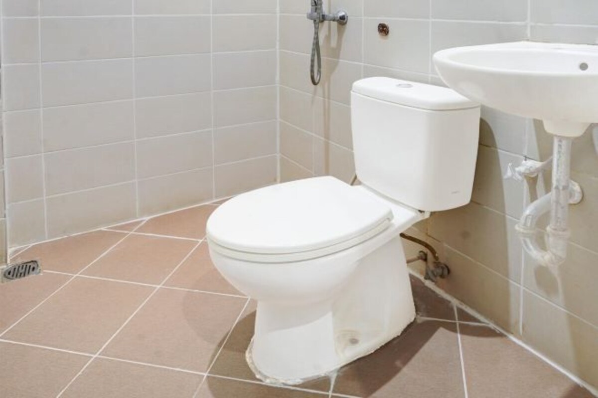 A bathroom with a white toilet, a sink, and a shower.