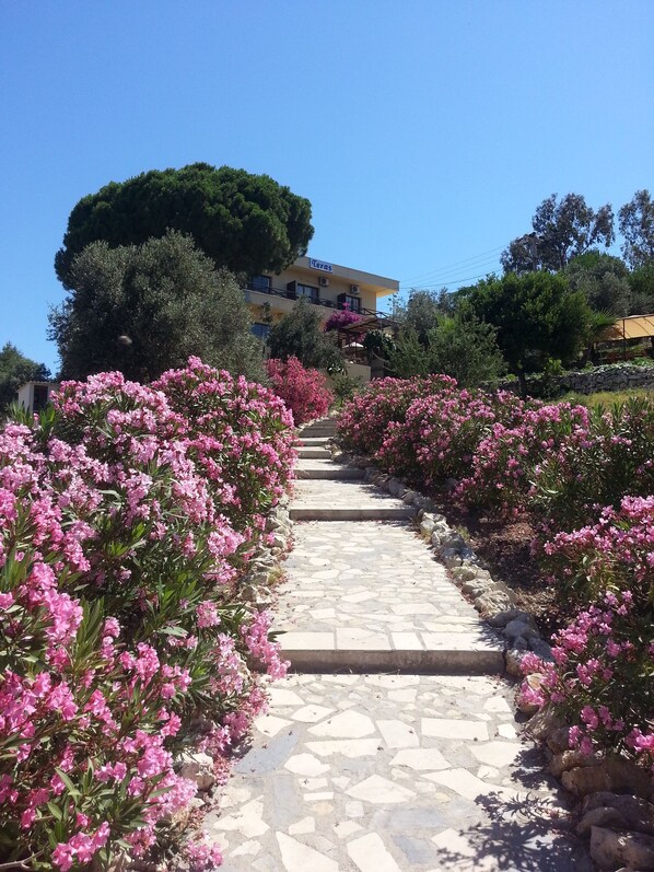 Property grounds - Teras Motel (Foça)