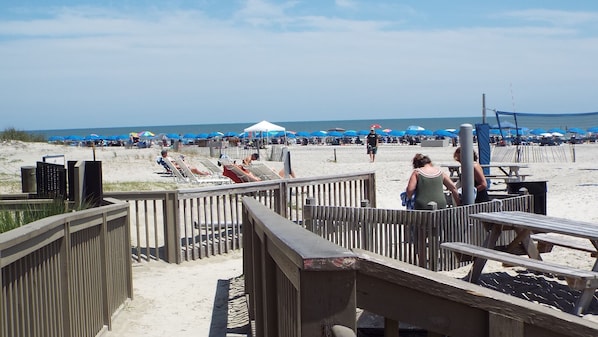 Playa en los alrededores