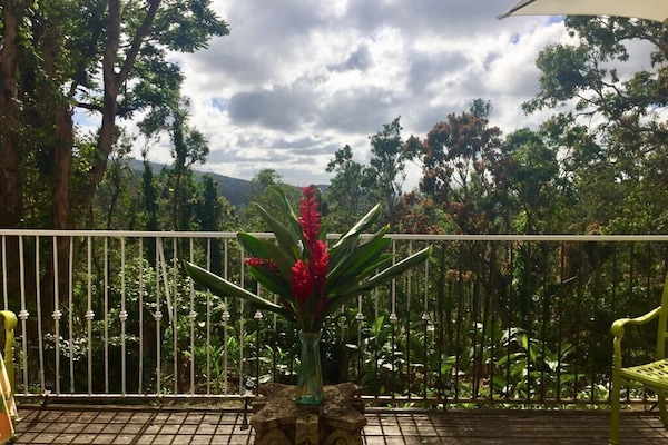 Excellent views to the montain and El Yunque Rainforest.