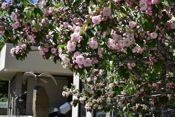 Visit the 15 Art galleries in Ketchum and Sun Valley at the summer art walks