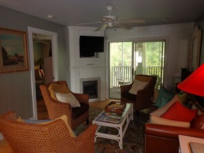 TV connectée, cheminée, livres, vidéothÚque