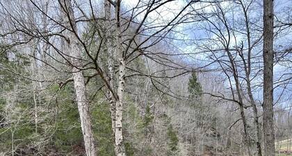 Tucked in nature riverside-fire pit, hiking, fishing, boating