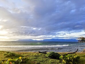 A beach with waves, a grassy foreground, and a cloudy sky. - Coral Ridge House - Spectacular well maintained oceanfront home - Studio Apt (Utila)