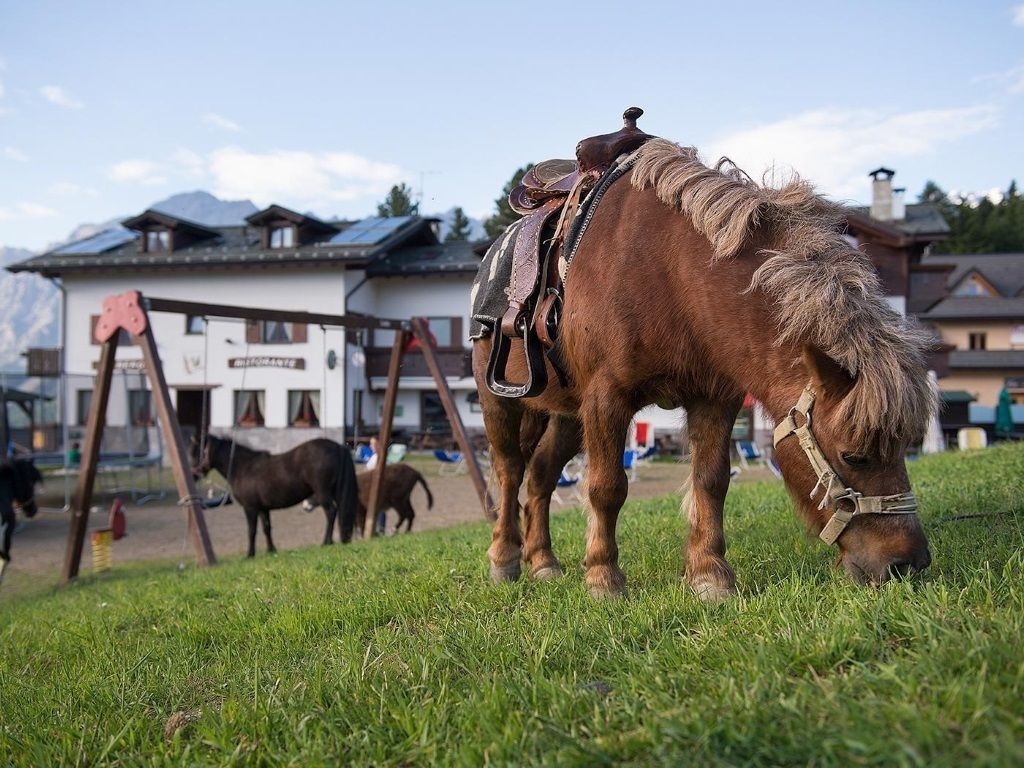 children’s play area – outdoor