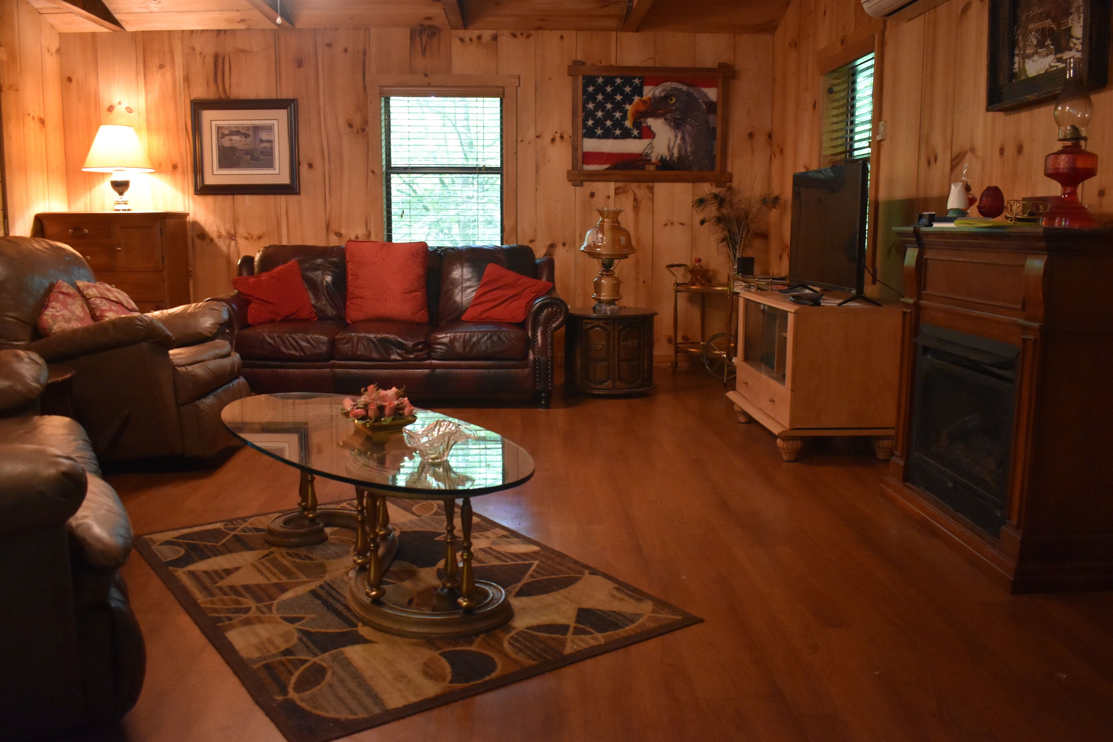 TV, fireplace, books