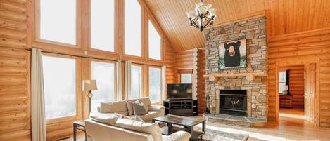 Televisor intel·ligent, llar de foc, reproductor de DVD i estèreo