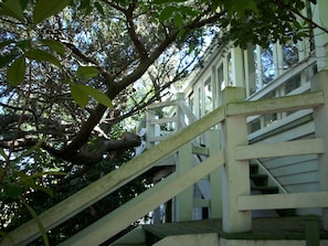Escadaria de madeira com corrimão branco, cercada por árvores e vegetação.