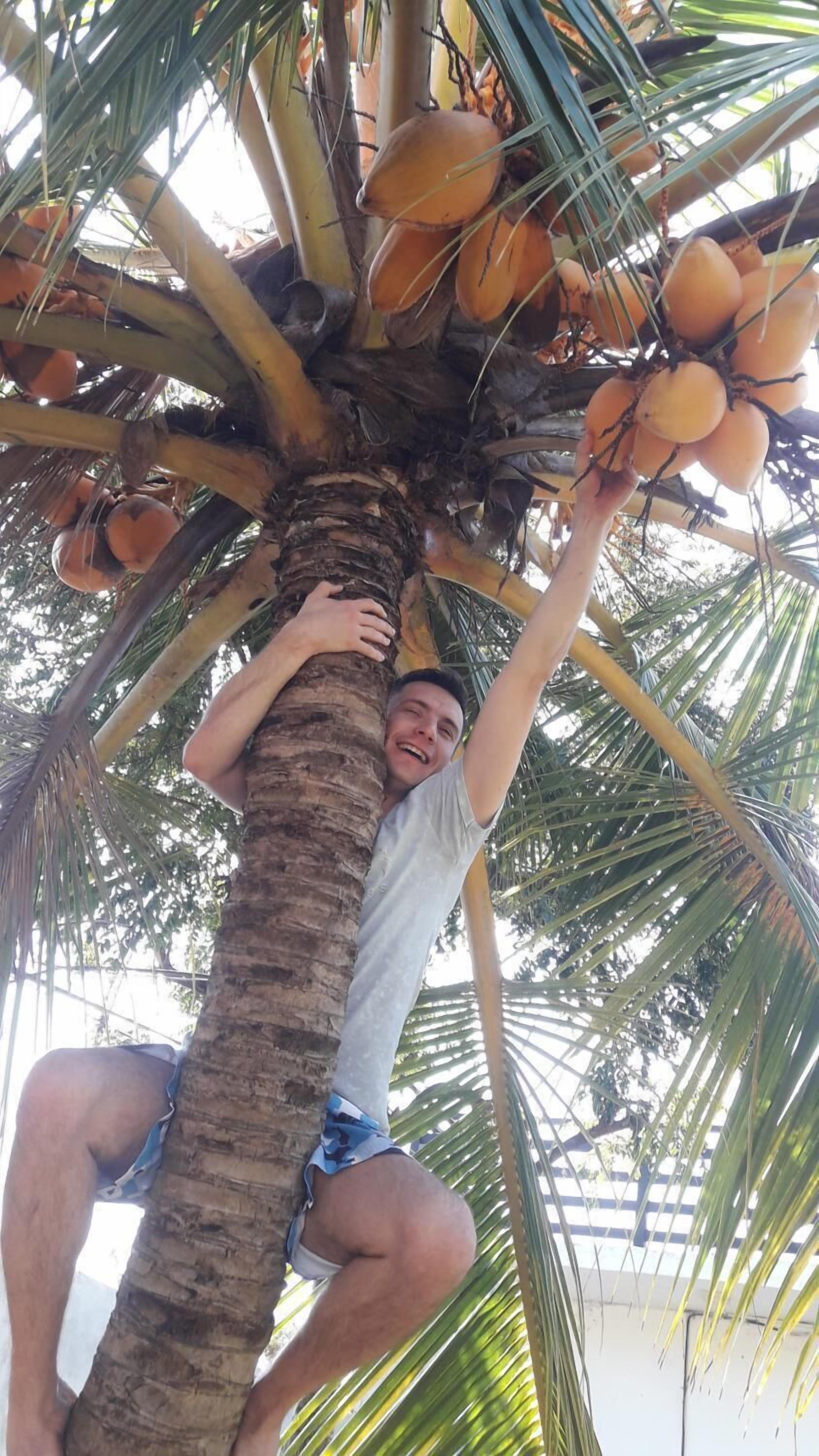 Foto - The Max Villa