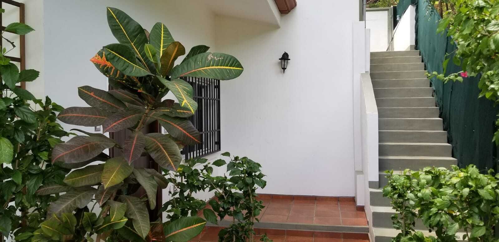 A staircase leading to a door with a black metal gate, surrounded by lush green plants.