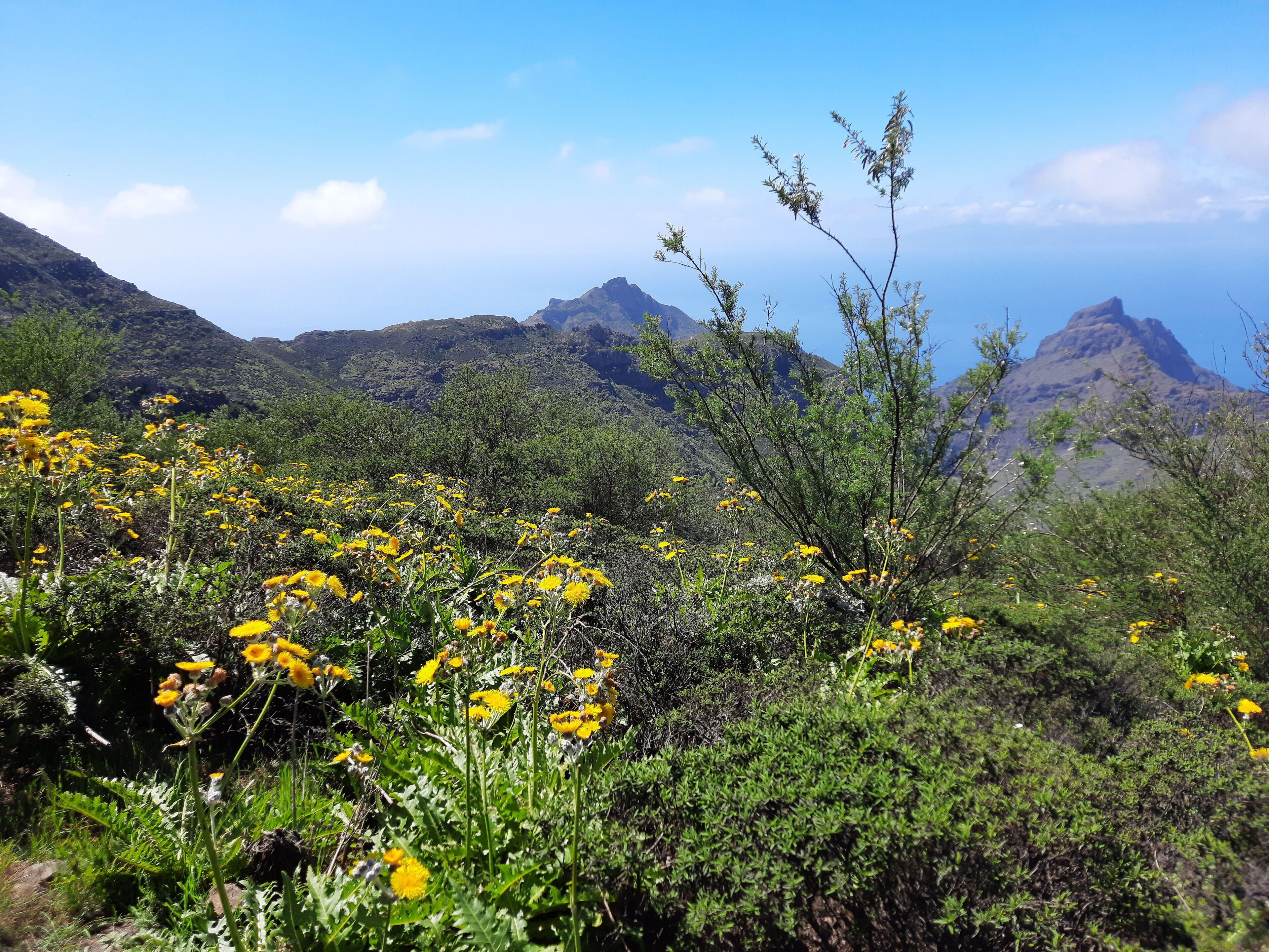 Foto - castle harbour