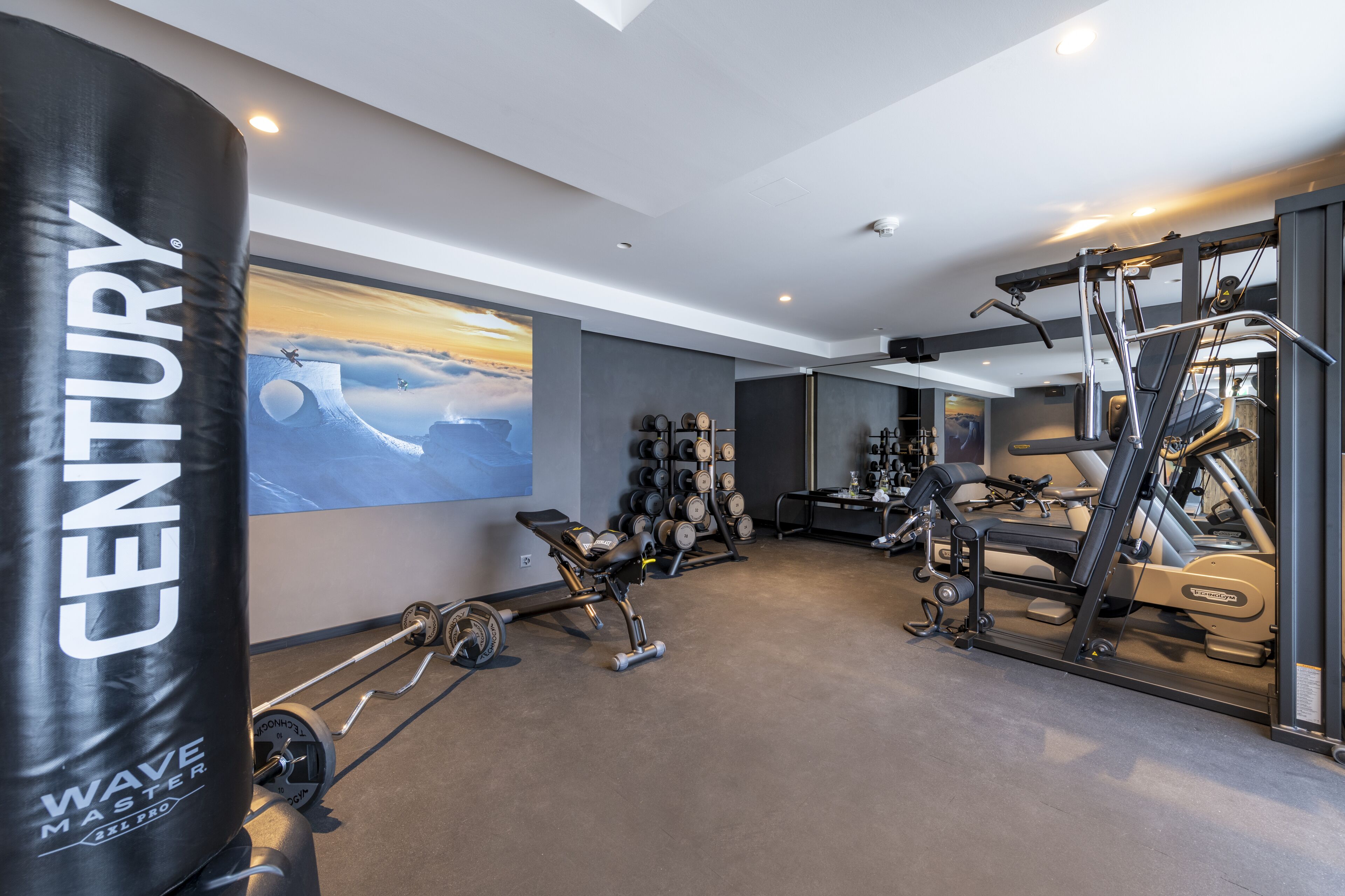 Un gimnasio con equipo de ejercicio, un saco de boxeo y una pared con un cuadro de un paisaje.