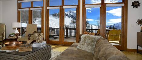 TV, fireplace, video games, DVD player