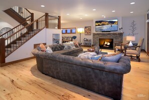 Tv, pejs, videospil, dvd-afspiller