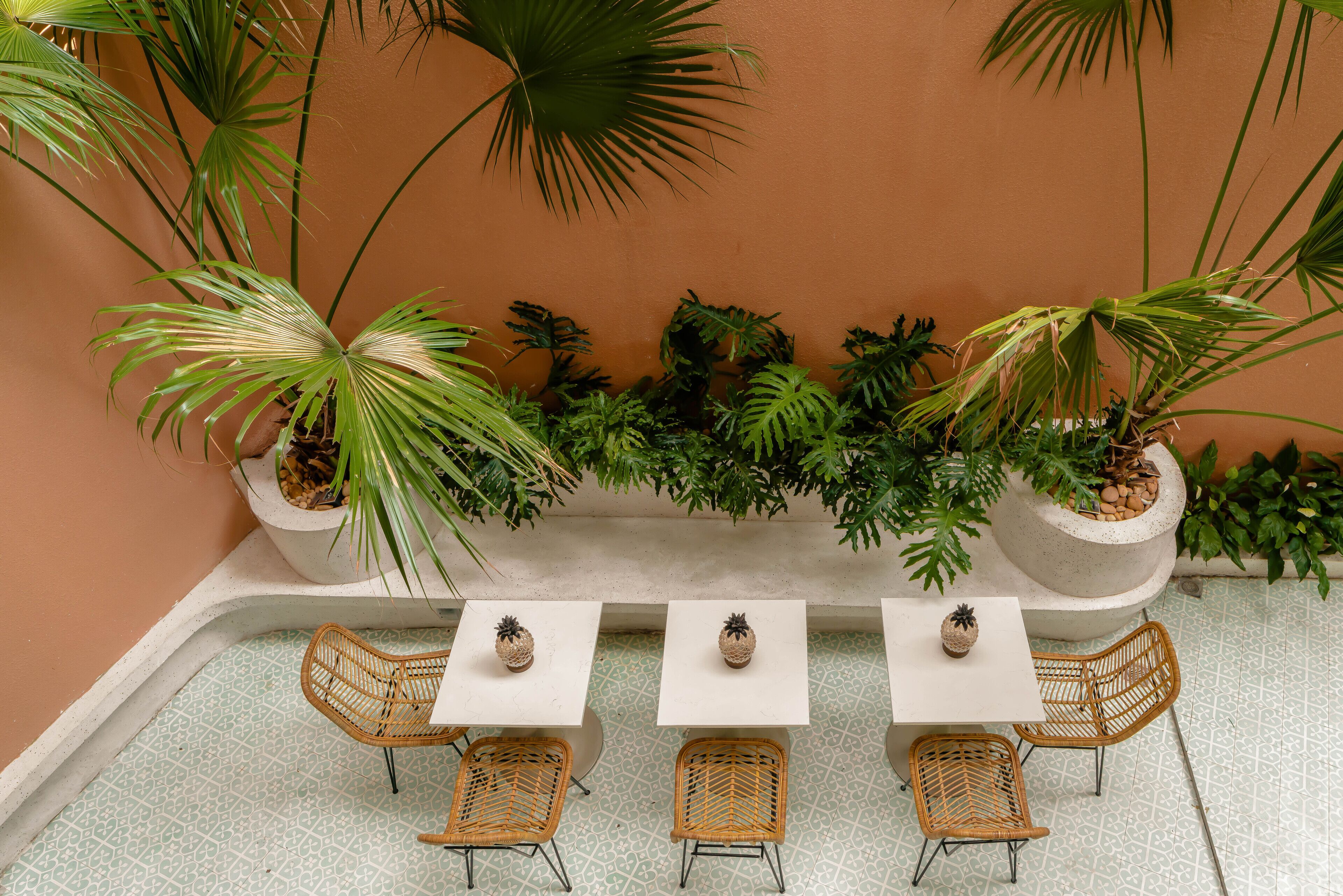 Un patio con mesas blancas y sillas de mimbre, rodeado de plantas en macetas y un suelo con textura.