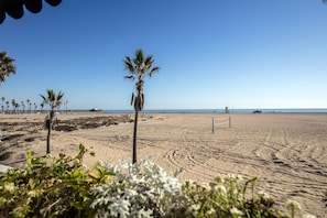 On the beach, sun-loungers, beach towels