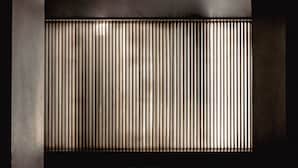 An arched doorway with vertical blinds, a textured wall, and a blurred background. - Experimental Marais (Paris)