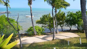 A beach view with palm trees, a boat, and a pier. - Boraha Village (Nosy Boraha)