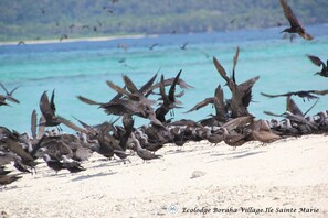 Ecotours - Boraha Village (Nosy Boraha)