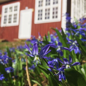 A red building with white-framed windows and a door. - Mormors Bakeri  Bed & Breakfast (Asarum)