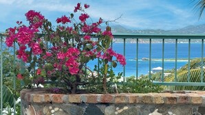 Un bac à fleurs en pierre orné de bougainvilliers roses, une rambarde en métal et une vue sur la mer.