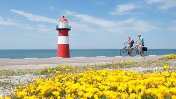 Mặt tiền nơi lưu trú