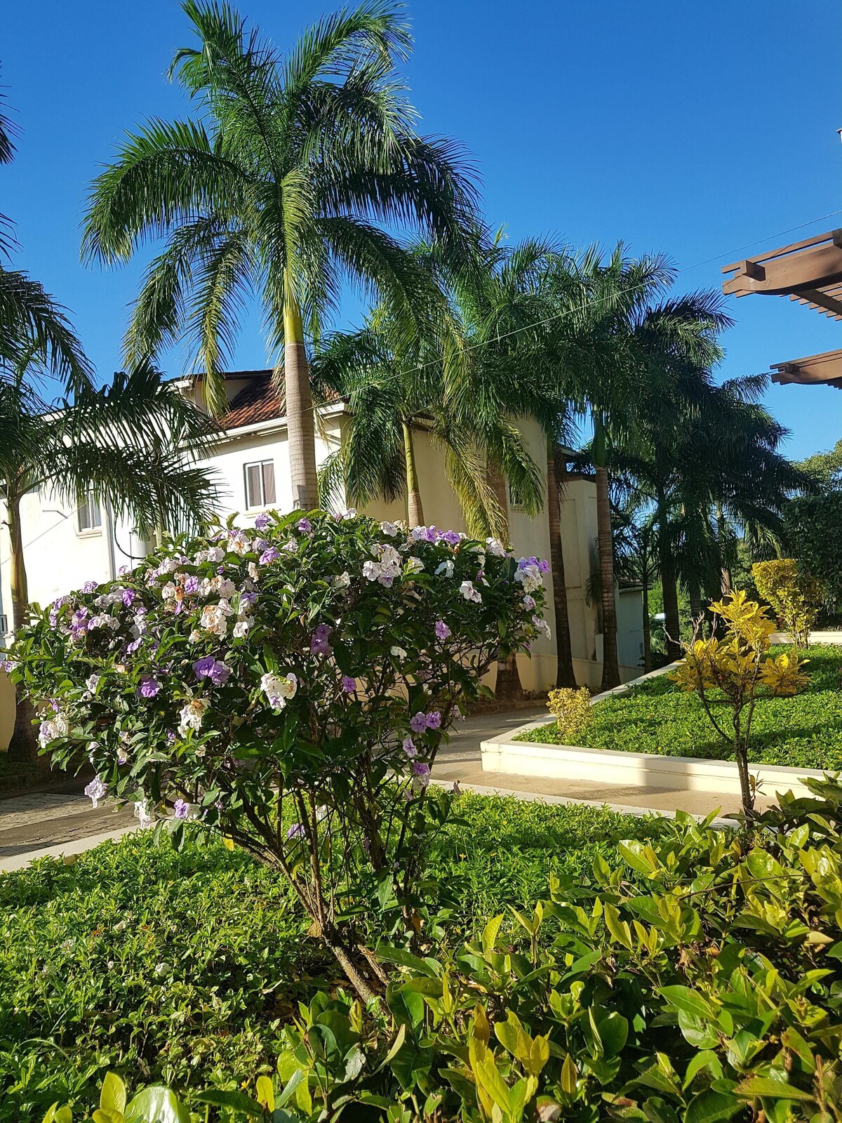 Imagen de perfil del propietario o de la propietaria