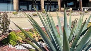 A modern building with large windows and a wooden deck. - Ensenada’s Luxury Ocean Front Property. 1or 2 condominiums available. (Ensenda)