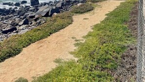 A coastal path with a rocky shoreline, a sandy beach, and a building with multiple balconies overlooking the ocean. - Ensenada’s Luxury Ocean Front Property. 1or 2 condominiums available. (Ensenda)