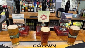 Trois verres de bière de la brasserie Bragy Conwy, posés sur le comptoir en bois d’un bar, avec un set de table sur lequel figure le nom de la brasserie.