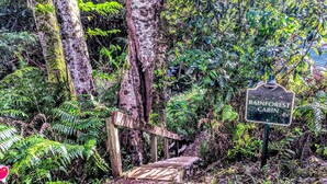 A sign for Rainforest Cabin surrounded by dense foliage and a wooden staircase leading up.