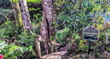 River View Rainforest Tiny Cabin with Kitchenette (No Cleaning Fee)
