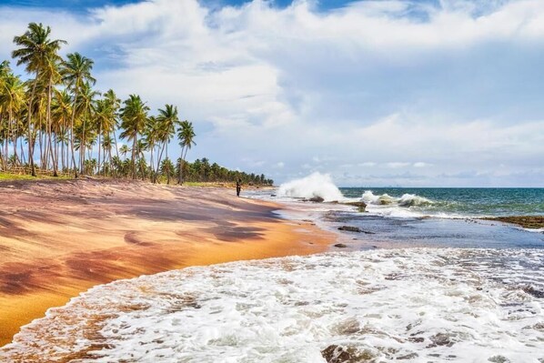 Plage à proximité, sable blanc