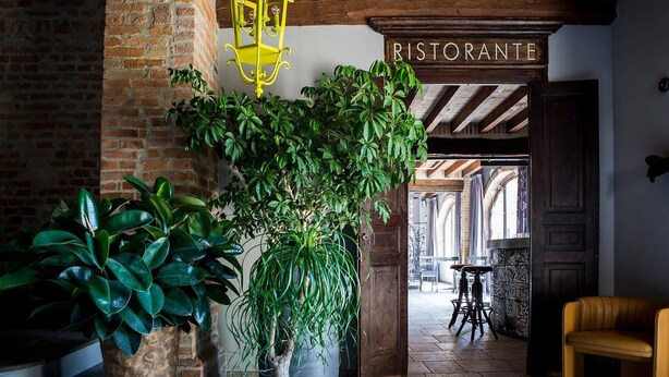 Un intérieur rustique avec un mur en briques, un grand arbre en pot, un luminaire jaune suspendu et une enseigne indiquant « RISTORANTE ».