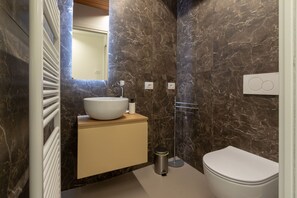 Hair dryer, bidet, towels