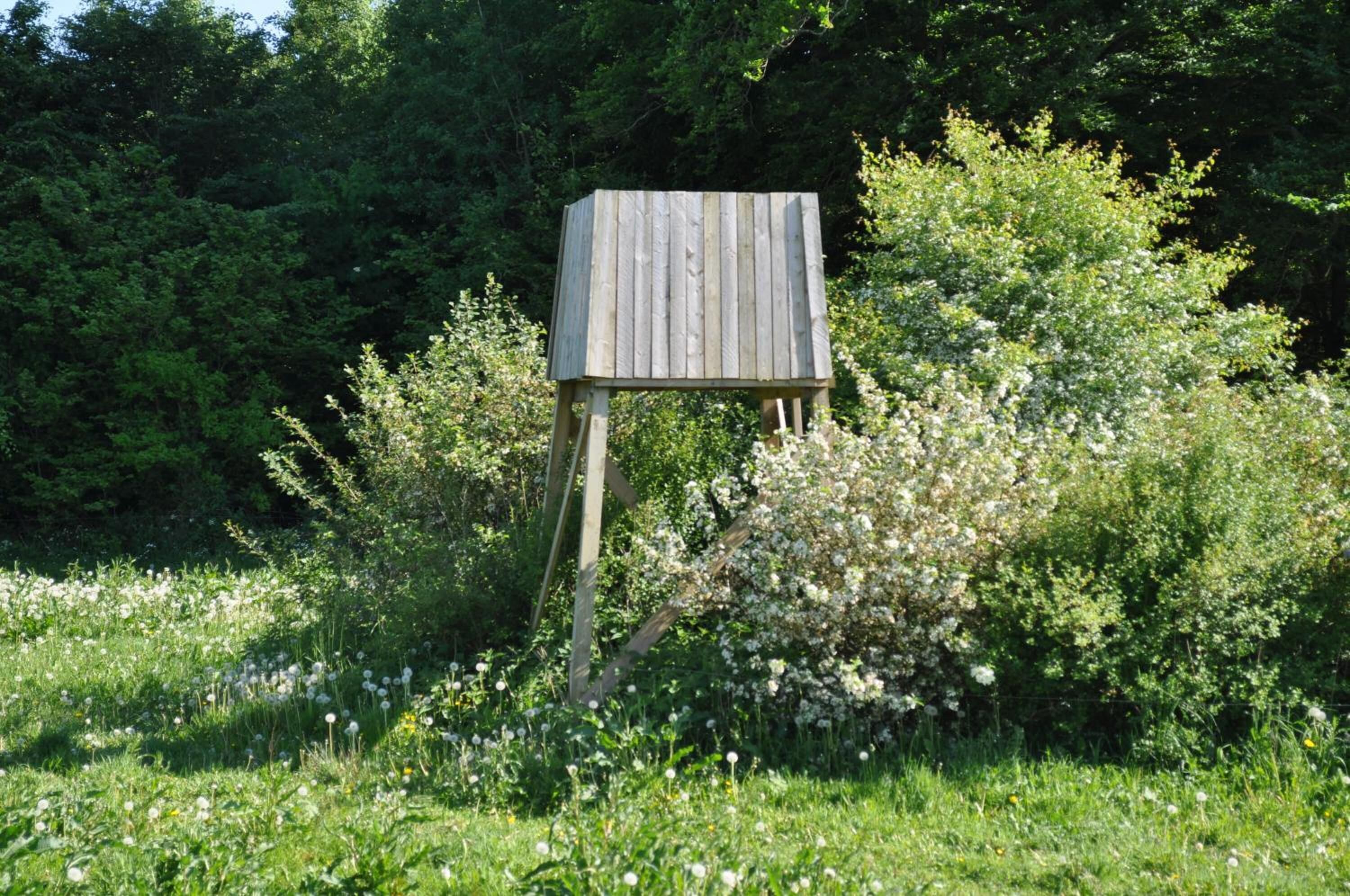 Une structure en bois dans un jardin, entourée d’un feuillage dense et de plantes à fleurs.