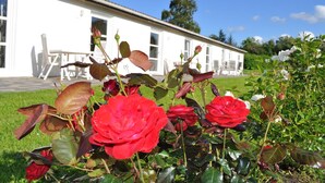 A white building with a covered patio area. - Koebenhovedskov Bed & Breakfast (Rodding)
