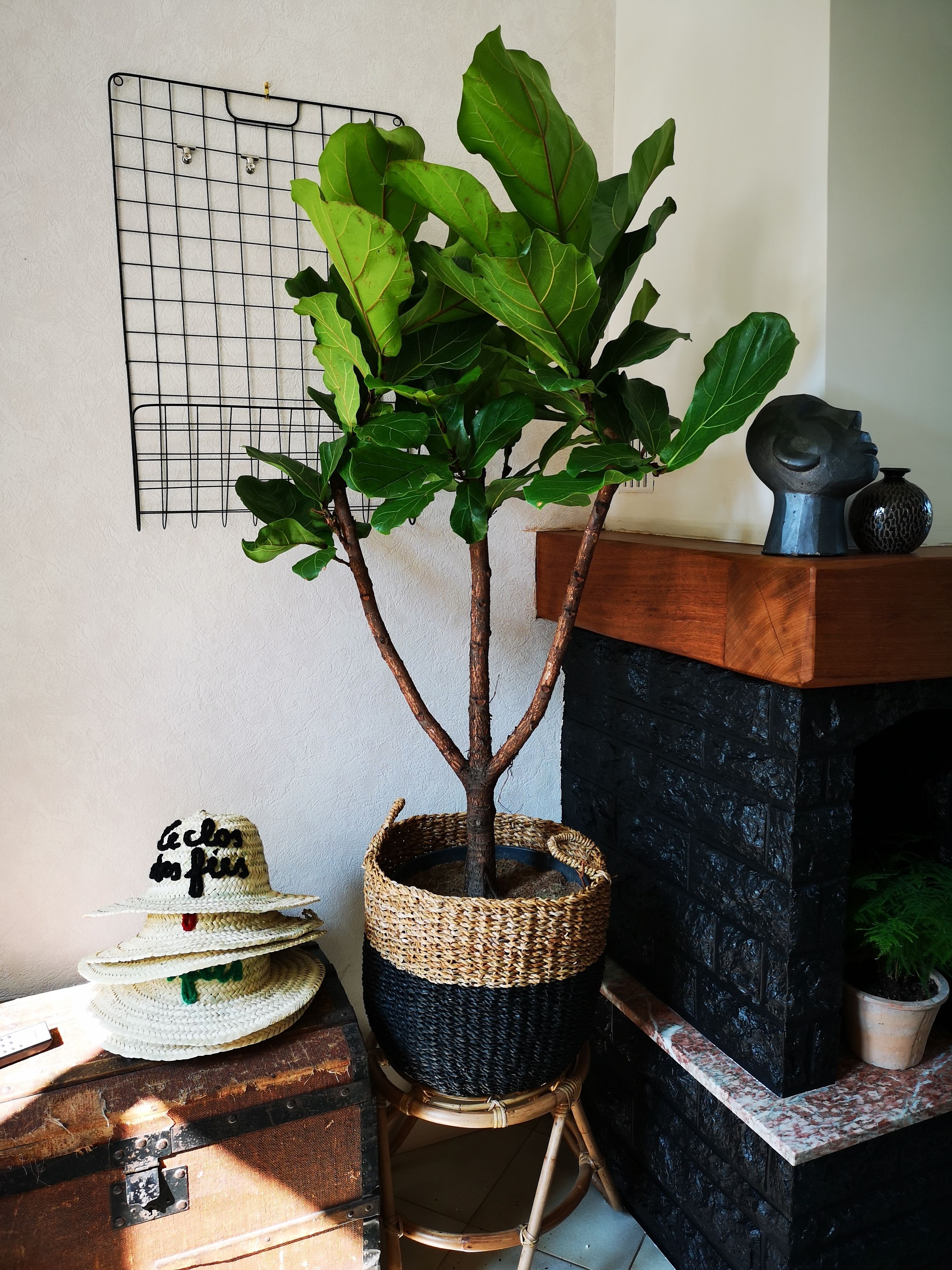 Dagelijks uitgebreid ontbijt inbegrepen