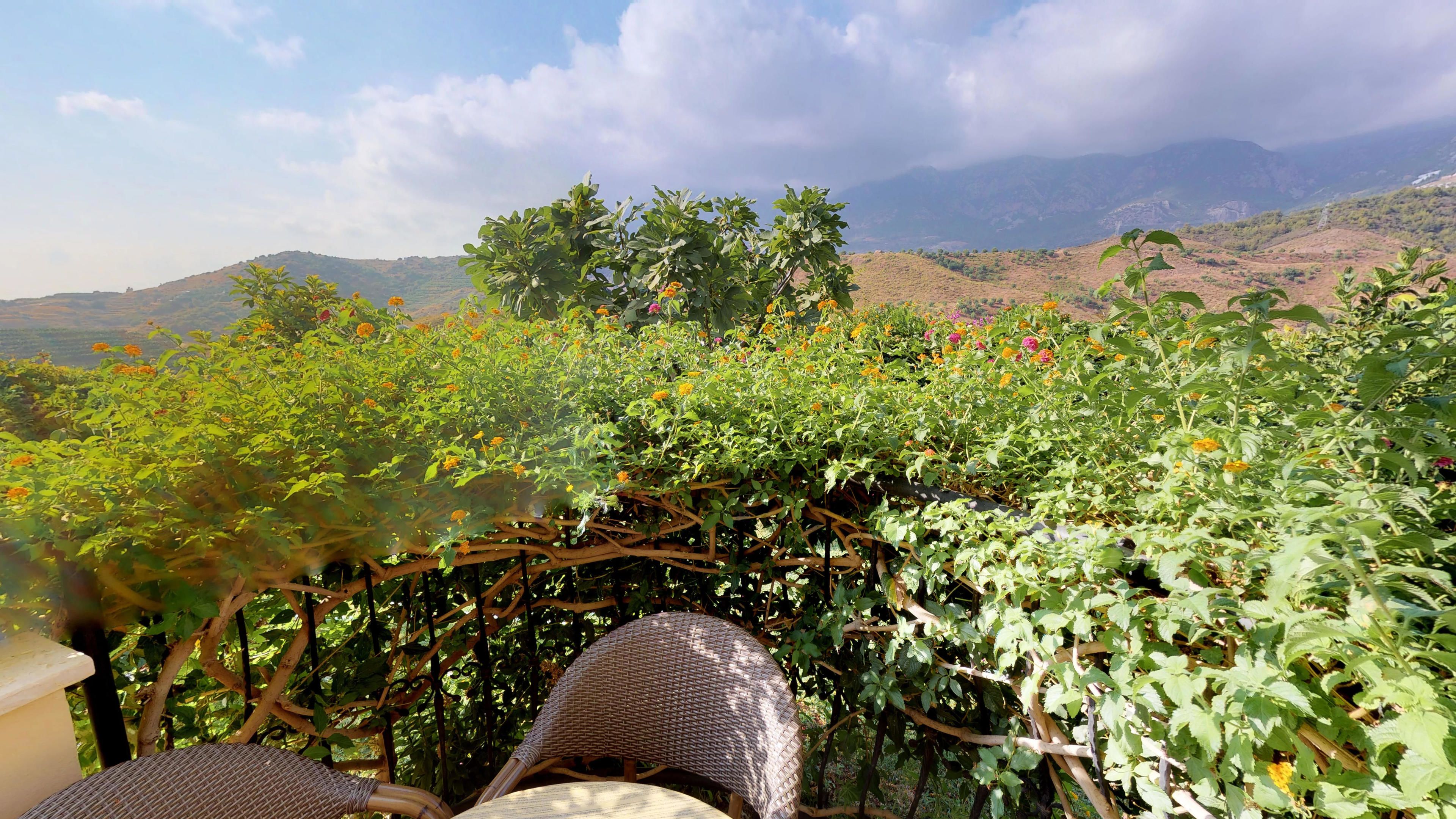 Foto - Appartement Goldcity 2 chambres, vue sur mer, aquapark non inclus