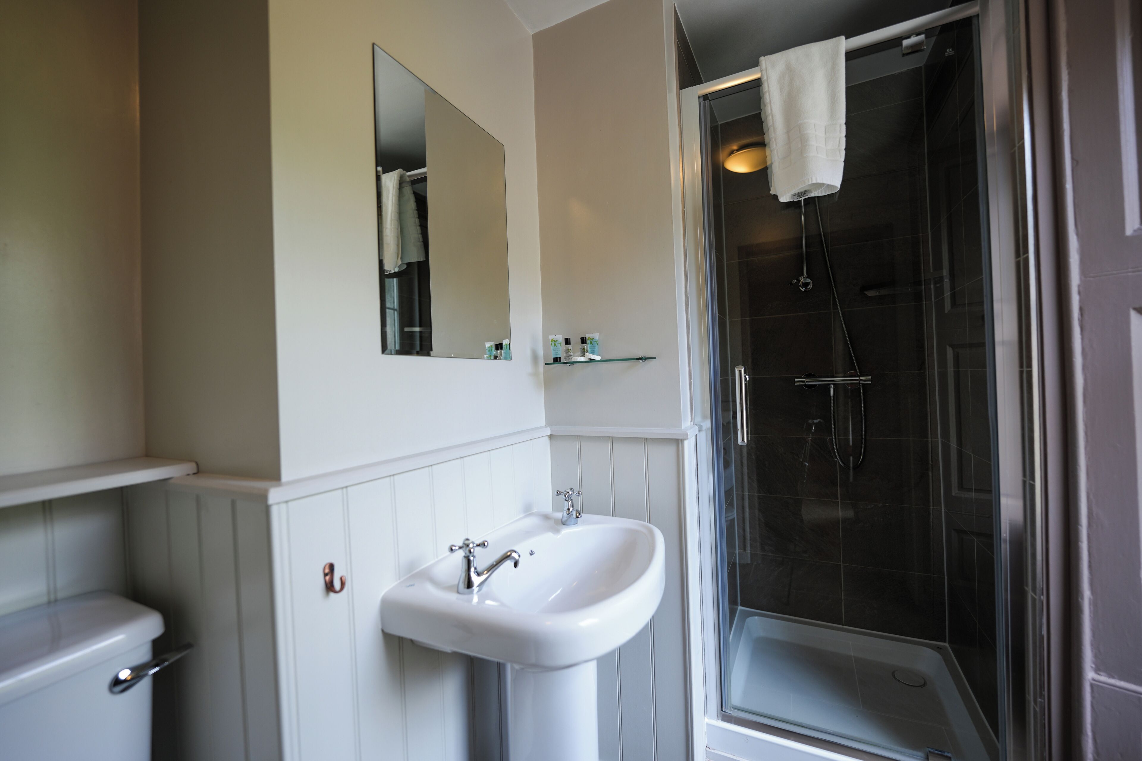 A bathroom with a sink, mirror, and shower.