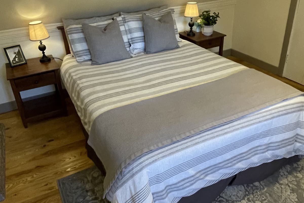 A bedroom with a large bed, two bedside tables, a nightstand, a lamp, and a potted plant.