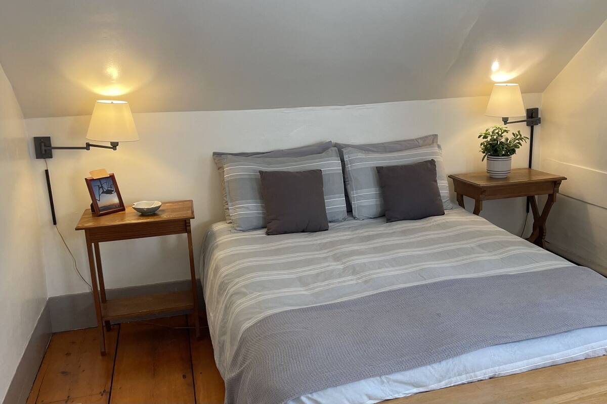 A bedroom with a bed, two bedside tables, a nightstand, a lamp, a framed picture, and a potted plant.