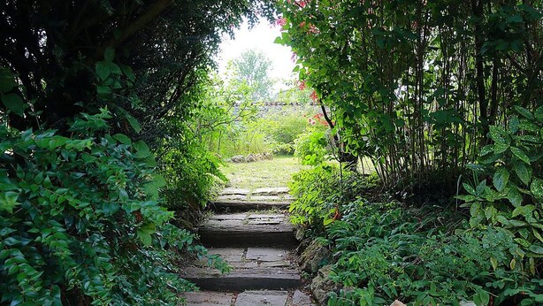 A stone pathway leading through a lush garden with dense foliage on either side. - La Loge des Fées (Latille)