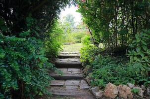Um caminho de pedra serpenteia por um jardim exuberante, ladeado por vegetação densa.