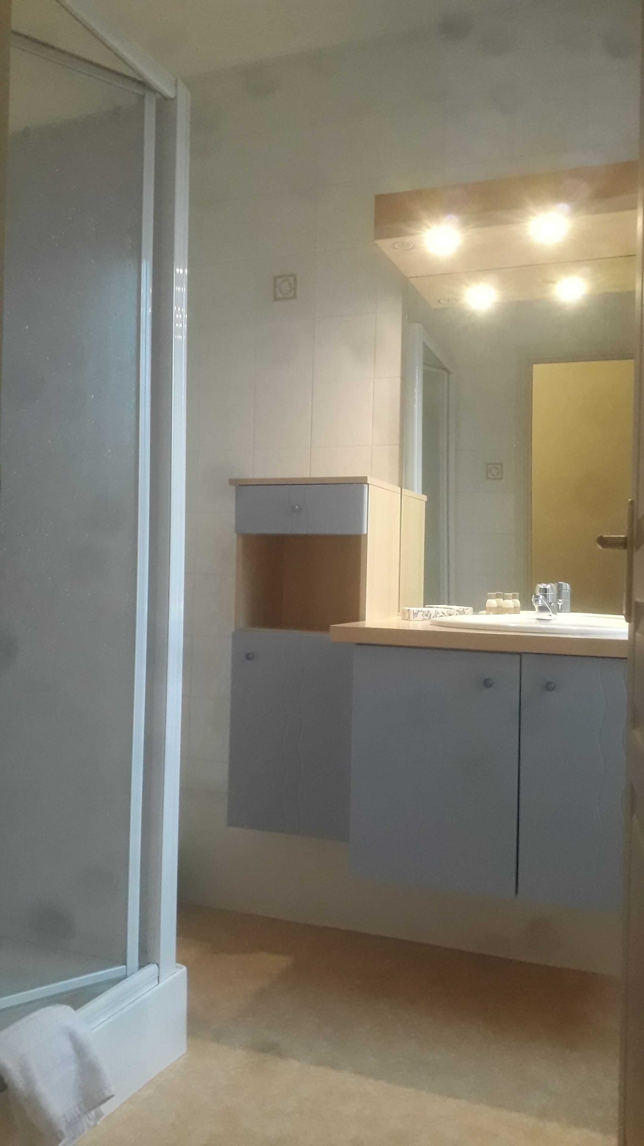 Een badkamer met een douchecabine van glas, een wastafel met spiegel en kastjes.