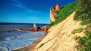 在海滩、浮潜