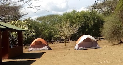 Snake Park Campsite