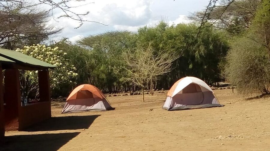 Snake Park Campsite