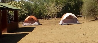 Snake Park Campsite
