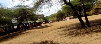 Snake Park Campsite